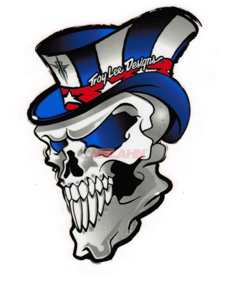 TROY LEE DESIGNS Aufkleber: Skull blau/silber, 14x10cm