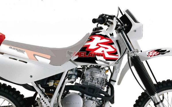 BLACKBIRD Dekor-Kit XR 600 88-00