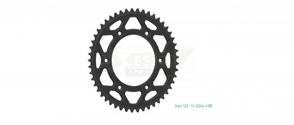 ESJOT Schlammkettenrad für BETA RR 125-520 2013-, schwarz