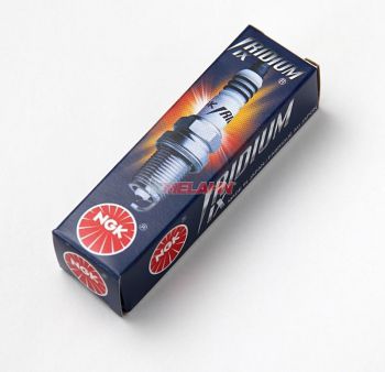 NGK Zündkerze CR8HIX (7669), Iridium (für KTM 50/65 SX 2009-2023